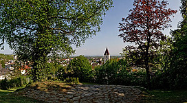 Panoramablick Perg Stadler Gründe in Perg: Die Szene zeigt eine malerische Landschaft mit üppiger Vegetation. Im Vordergrund ist ein gepflasterter Weg zu sehen, der sich durch grüne Wiesen und dicht bewachsene Bäume schlängelt. Im Hintergrund ist ein Kirchturm mit roten Ziegeldächern zu erkennen, der sich vor einem blauen Himmel abhebt. Insgesamt vermittelt das Bild einen ruhigen, friedlichen Eindruck.