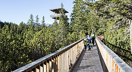 Zum Moorturm spazieren