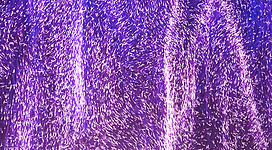 Das Ars Electronica Center in Linz entdecken