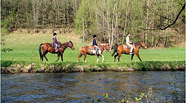 Kern Reiten an der Mühl