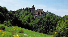 Burg Clam - Führung in Klam: Ein malerisches Schloss auf einem bewaldeten Hügel, umgeben von einer idyllischen Landschaft mit grünen Feldern und blühenden Blumen. Die historische Architektur des Gebäudes, mit Türmen und Zinnen, hebt sich deutlich von der umgebenden Natur ab. Insgesamt vermittelt die Szene einen ruhigen und romantischen Eindruck.