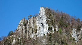 Ein felsiger Gipfel umgeben von Bäumen unter einem klaren blauen Himmel. Die Landschaft vermittelt einen ruhigen, natürlichen Eindruck.