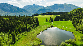 Egelsee und Egelseemoor - Naturschutzgebiet in Unterach am Attersee: Das Bild zeigt eine wunderschöne, idyllische Landschaft mit einem See, umliegenden Bergen und einem grünen, bewaldeten Tal. In der Mitte befindet sich eine weite, grüne Wiese, die von Nadelwäldern umgeben ist. Die Szenerie wirkt friedlich und einladend.