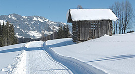 Ein verschneites Landschaftsbild mit einem alten Holzhaus. Der Weg führt durch die weiße Winterlandschaft mit Bergen im Hintergrund.