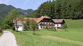 Ein charmantes Landhaus umgeben von grünen Wiesen und Bäumen. Im Hintergrund sind sanfte Hügel und ein blauer Himmel zu sehen.
