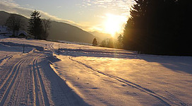 Langlaufloipe Nußdorf Oberwang mit Sonne