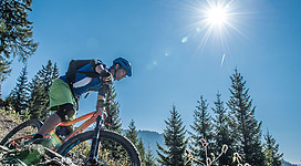 Ein junger Radfahrer fährt einen steilen Pfad durch einen Wald. Die Sonne scheint hell vom blauen Himmel.
