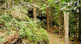 Drucker Franzl Stein | www.kraftort.org