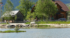 Fischen am Stiegerteich