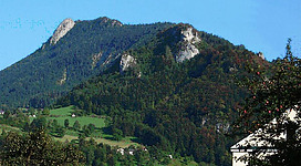 Ein beeindruckender Berg mit grünen Wiesen und Bäumen. Daneben sind einige kleine Häuser sichtbar.