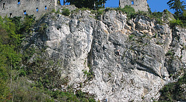 Eine alte Burgruine steht auf einem steilen Felsen, umgeben von Bäumen und grüner Vegetation. Der klare blaue Himmel sorgt für eine schöne Kulisse.