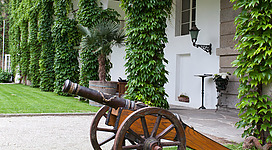Schloss Aschach in Aschach an der Donau: Einen hübschen, traditionell gestalteten Gebäudekomplex, der von üppiger, grüner Vegetation umgeben ist. Ein großes, hölzernes Geschütz steht auf einer Wiese vor dem Eingang, ein romantischer Blickfang inmitten der idyllischen Umgebung.