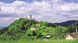 Die Burgruine in Waxenberg.