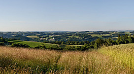 Panoramablick Dallinger