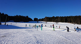 Skifahren und Rodeln am Viehberg