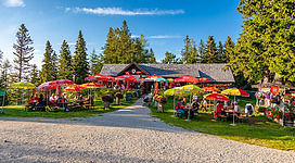 Ein gemütliches Restaurant in der Natur mit bunten Sonnenschirmen. Viele Gäste genießen die Umgebung und die frische Luft.