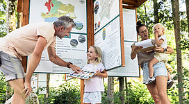 Am Österreich Trail entlang wandern