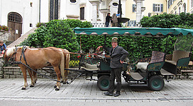 Pferdekutschenfahrt - Hauslhof in St. Wolfgang im Salzkammergut: Das Bild zeigt einen historischen Platz mit einem grünen, mit Reben bewachsenen Balkon und einem Pferdekutschwagen darunter. Im Hintergrund sind ein Gebäude mit verzierter Fassade und weitere Strukturen zu sehen. Ein Mann in Uniform steht neben dem Kutschwagen.