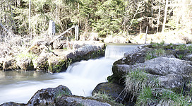 Die Maltsch unterhalb des Rauschender Felsen