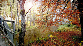 Eine Wanderung zur Raabklamm unternehmen