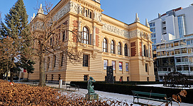 Das Francisco Carolinum Museum Linz besuchen