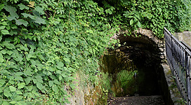 Ein schmaler, mit Steinen gepflasterter Weg führt zu einem kleinen, bewachsenen Eingang. Umgeben von üppigem Grün wirkt der Ort geheimnisvoll und einladend.