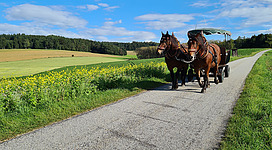 Innviertler Kutschenfahrten