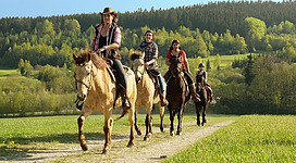 Pferdehof Koaser Minerl in Ampflwang im Hausruckwald: Eine Gruppe von Reitern auf Pferden reitet durch eine ländliche Landschaft mit Bäumen, Wiesen und Hügeln im Hintergrund. Die Reiter tragen karierte Hemden und Cowboyhüte. Es ist eine sonnige Umgebung, die einen Eindruck von einer entspannten Outdoor-Aktivität vermittelt.