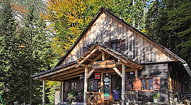 Eine malerische Hütte aus Holz, umgeben von buntem Herbstlaub. Die Holzveranda und die Bänke laden zum Entspannen ein.
