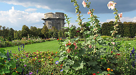 Im Augarten entspannen