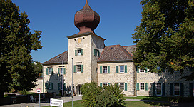 Schloss Gneisenau in Kleinzell im Mühlkreis: Ein geschichtsträchtiges Gebäude mit einem markanten Turm und sandfarbenen Steinwänden, eingebettet in einer grünen Umgebung mit Bäumen. Die Fenster sind mit dekorativen Fensterläden versehen, was dem Gebäude ein traditionelles, ländliches Aussehen verleiht.