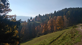 Eine herbstliche Landschaft mit bunten Bäumen und sanften Hügeln. Im Hintergrund ist eine kleine Kapelle sichtbar.