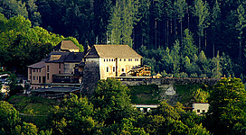 Burg Oberkapfenberg (Sicht von der Pötschen)