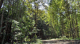 Almauen und Moorschutzgebiet