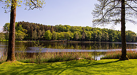 Holzöstersee in Franking: Ein See mit grünen Ufern, umgeben von hohen Bäumen und Wäldern. Im Vordergrund erstreckt sich eine große, grüne Rasenfläche. Einige Stege ragen in den See hinein, und am Ufer sind einige Sitzgelegenheiten zu sehen. Die Landschaft erscheint friedlich und idyllisch.