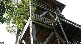 Das Bild zeigt einen hohen, mehrstöckigen Aussichtsturm aus dunklem Holz in einer Untersicht-Perspektive. Die Struktur mit ihren Geländern und Treppen ragt in den Himmel, während links oben grüne Blätter in das Bild hineinragen.