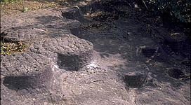 Scherer Mühlsteinbruch in Perg: Eine unebene, erdige Oberfläche mit tiefen Furchen und Spalten durchzieht den Vordergrund des Bildes. Kleine Steine und Pflanzenreste sind auf dem Boden verstreut. Der Hintergrund zeigt eine bewaldete Umgebung mit dichter Vegetation.