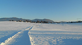 Langlaufen in Henndorf am Wallersee