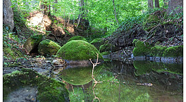 Kugelsteine01%c2%a9horst bachofner