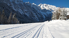 Eine schneebedeckte Landschaft mit den majestätischen Bergen im Hintergrund. Die klare, blaue Himmel über einem verschneiten Weg schafft eine ruhige Winteratmosphäre.