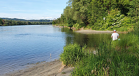Flussmündung mit ruhigem Wasser, bewaldetem Ufer und einer Person am rechten Rand, die am Wasser steht