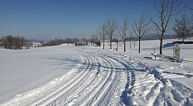 Die drei Eichen Langlauftour absolvieren