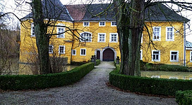 Ein altes, gelbes Gebäude mit einer auffälligen Fassade. Der Weg zum Eingang ist von Bäumen und Sträuchern gesäumt.