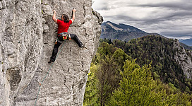 Ein Kletterer in einem roten Shirt steigt an einer grauen Felswand. Im Hintergrund sind grüne Bäume und Hügel zu sehen.