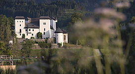 Ein malerisches Schloss in einer grünen Landschaft. Im Vordergrund sind verschwommene Blumenrings zu sehen.