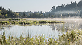 Foto Oberösterreich Tourismus GmbH/Martin Fickert: Blick auf den Rubnerteich am Morgen
