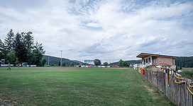 Viehbergarena in Sandl