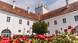 Schloss Ennsegg in Enns: Ein historisch aussehendes Gebäude mit einem Turm und einem Innenhof, umgeben von blühenden Rosensträuchern. Das Gebäude hat ein rotes Dach und weiße Fassaden. In dem Innenhof befinden sich Sitzgelegenheiten unter Bäumen.