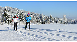 Langlaufen in Oberoesterreich
