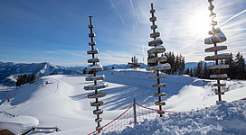 Eine verschneite Landschaft mit hohen Bäumen und einer Sonne, die am Himmel scheint. Im Vordergrund stehen markante Holzpfosten, die den Weg weisen.